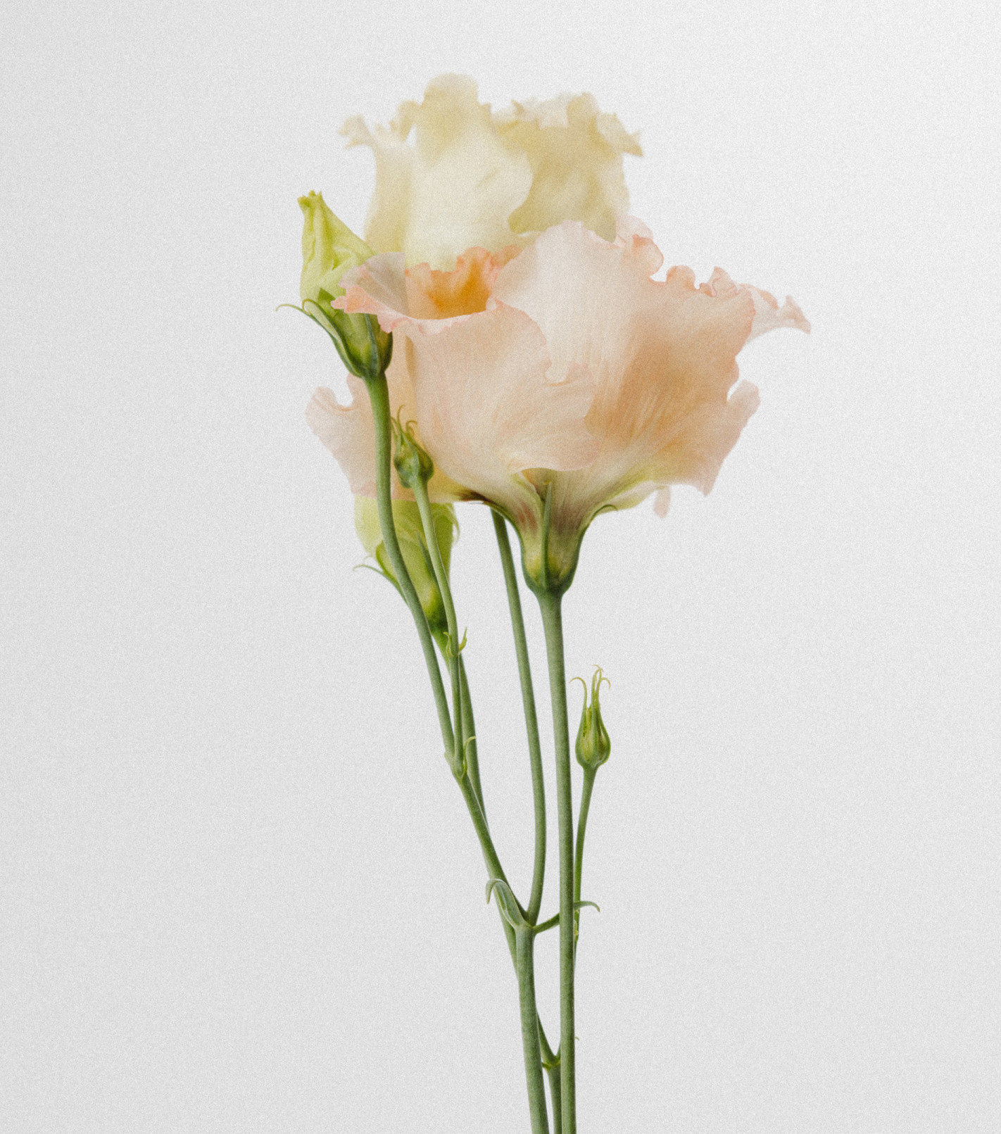 Srebrne kolczyki z zawieszkami
